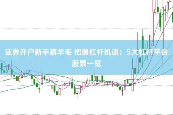证券开户新手薅羊毛 把握杠杆机遇：5大杠杆平台股票一览