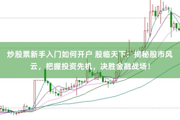 炒股票新手入门如何开户 股临天下：揭秘股市风云，把握投资先机，决胜金融战场！