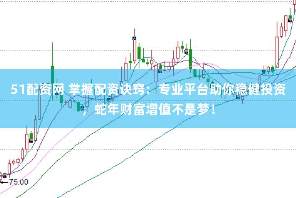 51配资网 掌握配资诀窍：专业平台助你稳健投资，蛇年财富增值不是梦！