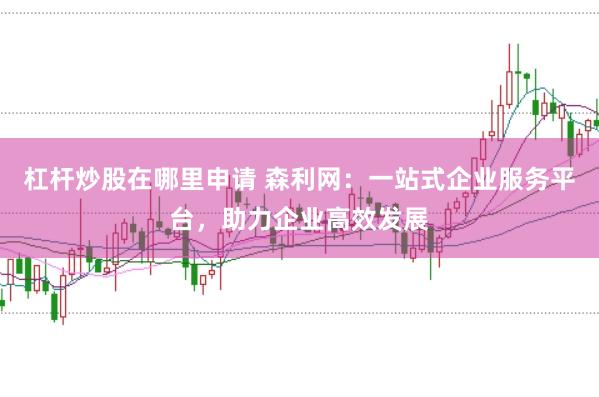 杠杆炒股在哪里申请 森利网：一站式企业服务平台，助力企业高效发展