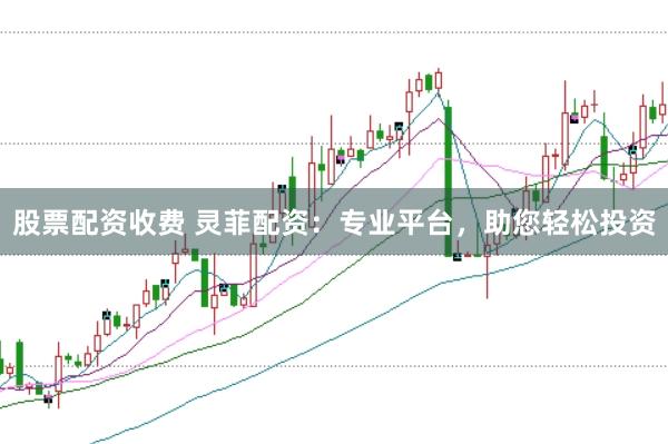 股票配资收费 灵菲配资：专业平台，助您轻松投资