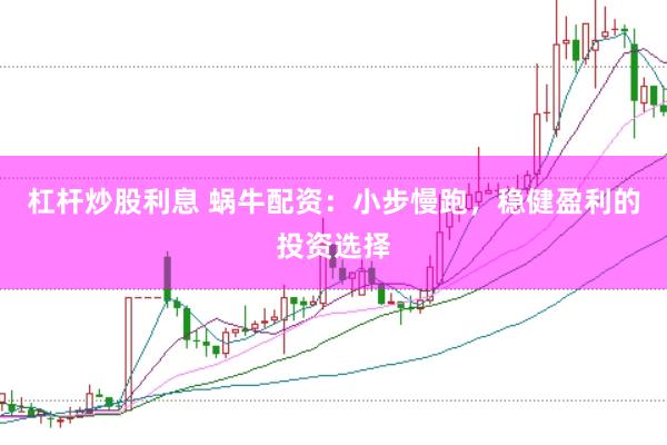 杠杆炒股利息 蜗牛配资:小步慢跑,稳健盈利的投资选择