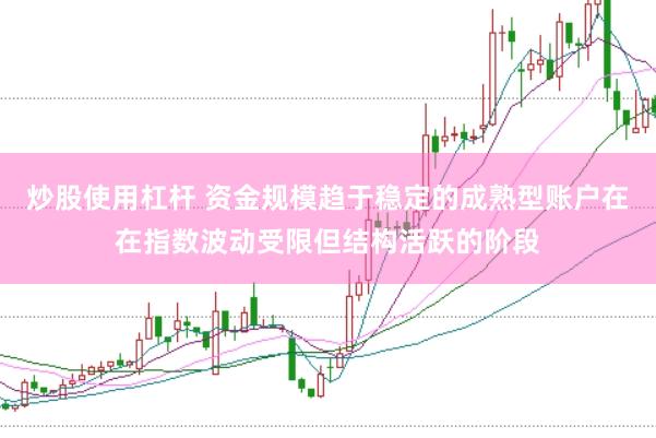 炒股使用杠杆 资金规模趋于稳定的成熟型账户在在指数波动受限但结构活跃的阶段