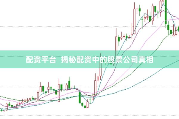 配资平台  揭秘配资中的股票公司真相